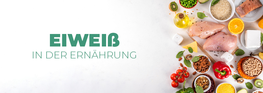 Die Rolle von Eiweiß in der Ernährung
