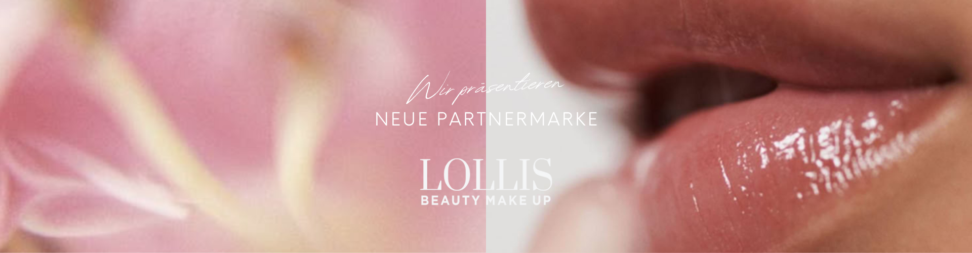 Lollis
